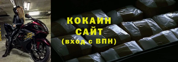 индика Кукмор