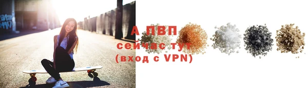 индика Кукмор