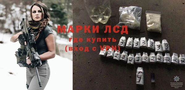 индика Кукмор
