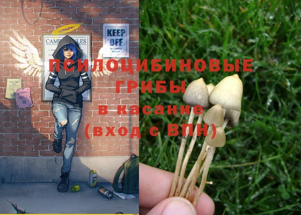 ПСИЛОЦИБИНОВЫЕ ГРИБЫ Куйбышев