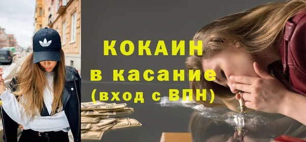 индика Кукмор