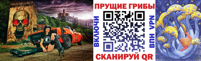 Псилоцибиновые грибы прущие грибы Купить закладки Камышлов